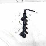 Kraftstoffverteiler Citroen C4, I 2004.11 - 2008.06 9654592680,9654592680
