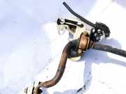 Stabilisator Vorne Volkswagen Passat, B5+ 2000.11 - 2005.05 Gebraucht, Azm