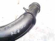 Intercooler Schlauch Citroen C5, II 2008.02 - 2011.01 Gebraucht,