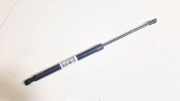 Gasdruckfeder Kofferraum Chevrolet Epica, 2006.01 - 2011.12 91750292n,133073522
