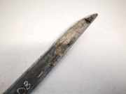 Kennzeichenleuchte Volkswagen Passat, B6 2005.08 - 2010.11 Gebraucht, BVY