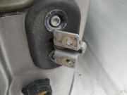 Türfangband Türbremse Türstopper - Vorne Rechts Fiat Punto, 1999.09 - 2005.10 Gebraucht,