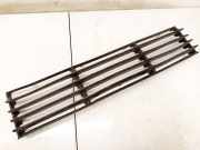 Kühlergrill - Vorne Center Volkswagen Passat, B5+ 2000.11 - 2005.05 3B0853677E, AKN