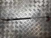 Gasfeder für Motorhaube Daewoo Tacuma, I 2000.01 - 2011.12 96205547,