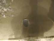 Waschwasserdüse Scheibenreinigung Mazda 3, BK 2003.10 - 2009.06 Gebraucht,