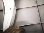 Innenausstattung Hyundai i30 2007 - 2012 858202l100,85820-2l100