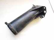 Aktivkohlefilter Renault Laguna, I 1994.01 - 2001.03 7700858244f,