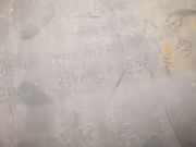 Zierleiste Tür Zier-Schutzleiste - Vorne Rechts Volkswagen Crafter, I 2006.01 - 2011.12 a9066900262,