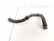 Kühlerschlauch Ford Focus, 1998.10 - 2002.10 Gebraucht ,