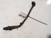 Lambdasonde -4 Drähte WEISS WEISS SCHWARZ GRAU Opel Corsa, D 2006.07 - 2010.06 Gebraucht,