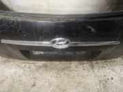 Kennzeichenleuchte Hyundai Tucson, I 2004.08 - 2009.06 Gebraucht,