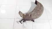 Radhausschale - Hinten Linke Citroen C4 Grand Picasso, I 2006.01 - 2013.06 Gebraucht,