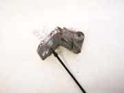 Türscharnier Vorne Peugeot 206, 2002.07 - 2009.01 facelift Gebraucht,