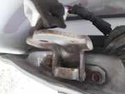 Türscharnier Hinten Hyundai Elantra, 2000.06 - 2006.07 Gebraucht ,