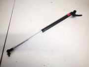 Gasdruckfeder Kofferraum Lexus RX, 2000.07 - 2003.05 Gebraucht,