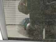 Seitenscheibe - Hinten Linke Audi A4, B6 2000.11 - 2004.11 Gebraucht,