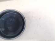 Blende Scheinwerfer - Vorne Fiat Punto, 2005.10 - 2012.03 c1156,