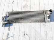 Ladeluftkühler Renault Scenic, II 2003.06 - 2006.06 Gebraucht ,