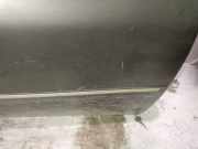 Zierleiste T?r Zier-Schutzleiste - Vorne Rechts Peugeot 406, 1999.03 - 2004.05 facelift Gebraucht,