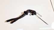 Sensor Abgasdruck Citroen Xsara Picasso, I 1999.12 - 2004.05 9662143180,