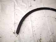 Beplankung Leiste Kotflügel - Hinten Linke Tesla Model Y, 2020 --> 168386100a,1683861-00-a