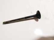 Auslassventil Volkswagen Polo, IV 2005.04 - 2009.11 facelift Gebraucht,