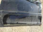 Zierleiste T?r Zier-Schutzleiste - Vorne Linke Lexus RX, 2000.07 - 2003.05 Gebraucht,