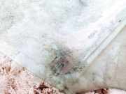 Seitenscheibe - Vorne Rechts Toyota Corolla Verso, III 2004.05 - 2007 Gebraucht,