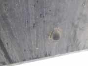 Waschwasserdüse Scheibenreinigung SAAB 900 1993 - 1998 Gebraucht,