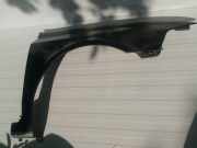 Kotfl?gel - Vorne Rechts Renault Laguna, II 2001.03 - 2006.05 juoda,