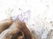 Stabilisator Stabi Hinten Hinterachse Ford Focus, 2004.11 - 2008.06 Gebraucht,