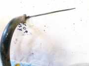 Stabilisator Stabi Hinten Hinterachse Opel Antara, 2006.01 - 2010.08 Gebraucht,