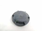 Blende Scheinwerfer - Vorne Renault Scenic, I 1999.09 - 2003.06 facelift Gebraucht,