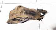 Unterfahrschutz Honda CR-V, III 2006.06 - 2010.06 17668swa0100,17668-swa-0100
