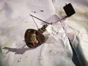 Kraftstoffpumpe Mitsubishi Grandis, I 2004.01 - 2009.12 Gebraucht,