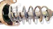 Fahrwerksfeder Hinterachse Opel Vectra, B 1995.09 - 2000.09 Gebraucht,
