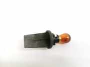 Glühbirnenfassung Blinker Renault Scenic, II 2003.06 - 2006.06 Gebraucht,