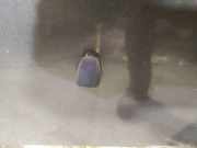 Waschwasserdüse Scheibenreinigung Volvo V50, 2004.04 - 2007.05 Gebraucht,