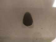 Waschwasserd?se Scheibenreinigung Chevrolet Epica, 2006.01 - 2011.12 Gebraucht,