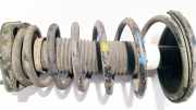Fahrwerksfeder Hinterachse Hyundai Coupe, 2001.08 - 2009.08 Gebraucht,