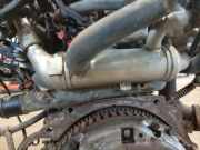 Abgaskühler AGR-Kühler Kia Ceed, I 2006.12 - 2010.05 Gebraucht,
