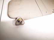 Sonnenblende Nissan Juke, I F15 2010.06 - 2019.06 Gebraucht,