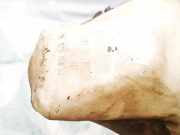 Scheibenwaschbehälter Vorne Wischwasserbehälter Citroen C3, I 2002.02 - 2005.06 9642546080,