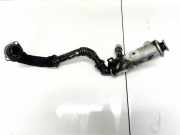 Abgaskühler AGR-Kühler Citroen C4, I 2004.11 - 2008.06 9646762280,9646762280