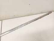 Zierleiste Leiste - Vorne Linke Volkswagen Passat, B6 2005.08 - 2010.11 Gebraucht, BKC