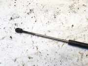 Gasdruckfeder Kofferraum Seat Toledo, 1999.04 - 2006.05 Gebraucht,