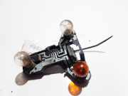 Lampenträger Heckleuchte - Hinten Renault Scenic, I 1996.01 - 1999.09 Gebraucht,