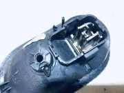 Türinnengriff - Vorne Linke Renault Scenic, II 2003.06 - 2006.06 8200028487, 8005400006