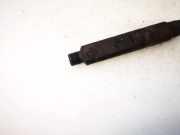 Einspritzd?se Renault Scenic, I 1999.09 - 2003.06 facelift 0432193611,