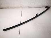 Zierleiste Leiste - Hinten Linke Hyundai Santa Fe, 2000.11 - 2006.03 Gebraucht,